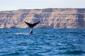 Puerto Madryn